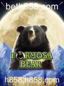 Descubra o Mundo Empolgante de FormosaBear